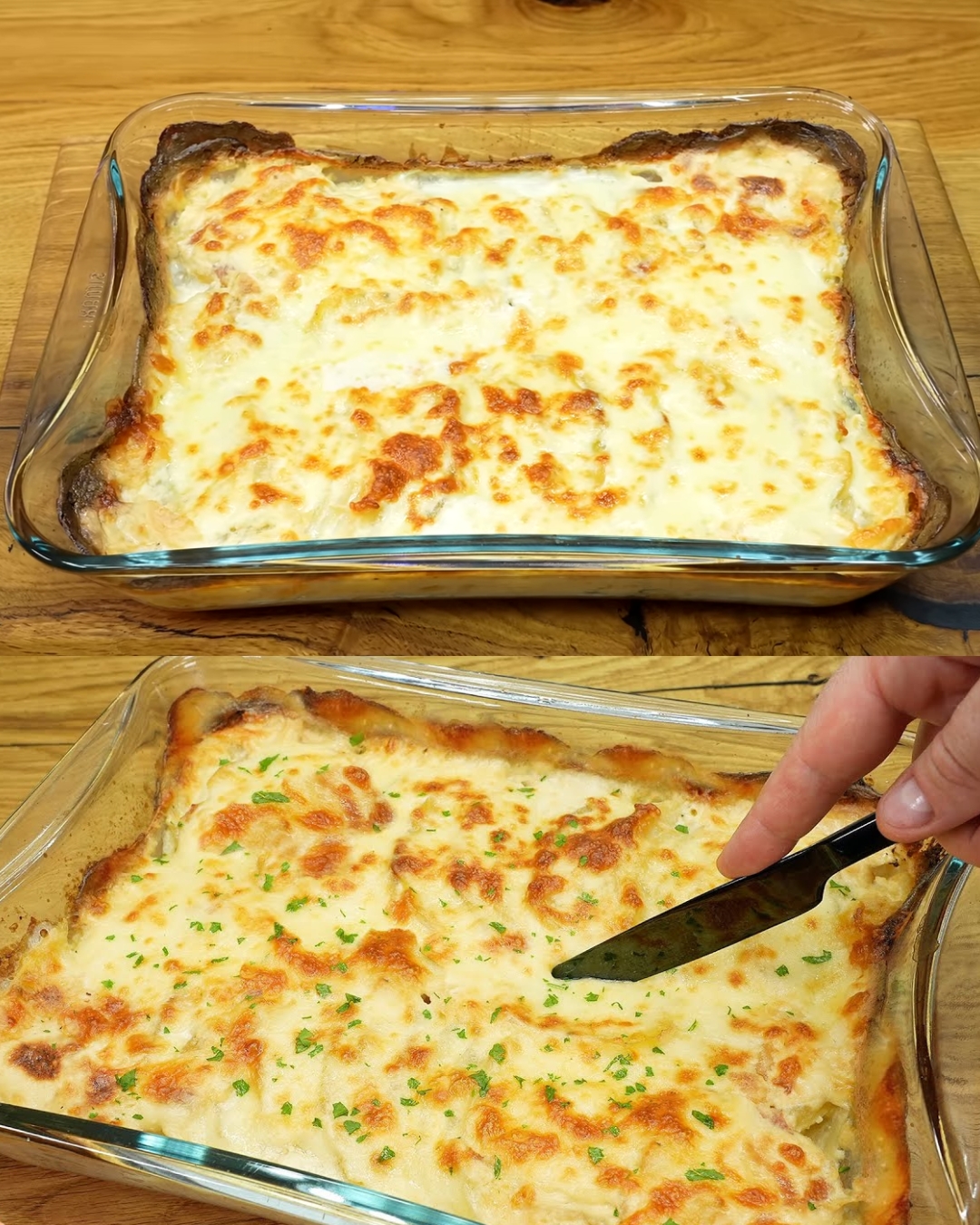 Creamy Cheesy Potato Gratin - Greenku Recipes